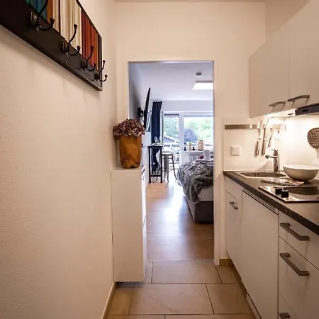 Apartment Boutique-appartement Suedblick *